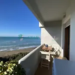 Conchiglia *